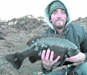 Ross Noakes with a solid Springtime drummer. The pigs are still on fire off the rocks.