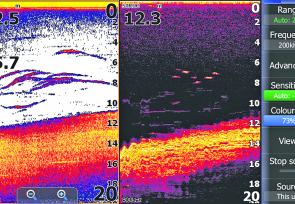 In this split screen image we see the bottom shelving up and half a dozen or more targets in mid-water. The more detailed StructureScan image on the right shows those targets as individual fish of a reasonable size. 