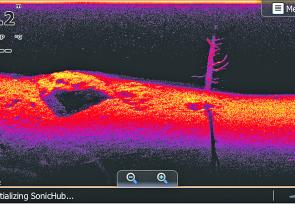 Modern, high definition sonar (in this case, Lowrance’s StructureScan) at its finest. This readout provides an incredibly clear picture of a very large rock outcrop on the lakebed, with a dead tree standing not far away. The presence of distinct shadows a