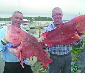 Garry and Les with a couple of stellar reds. When the water temperature drops and the strong currents subside, offshore areas holding fish like these will be more easily accessible.
