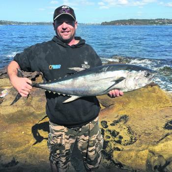 Kevin Harbord holds up a Sydney Harbour northern bluefin tuna – an unusual catch for the area.
