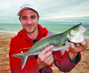 Dan Lee with a Gunnamatta Aussie salmon caught on a 35g Gold Lazer lure.