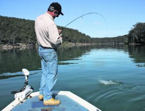 Australian salmon are running riot in our local waters, taking a whole range of offerings. What a great fish to target.