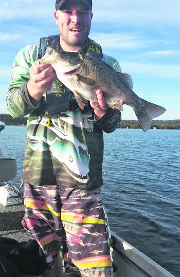 One standout species through the cooler months and spring has been the estuary perch.