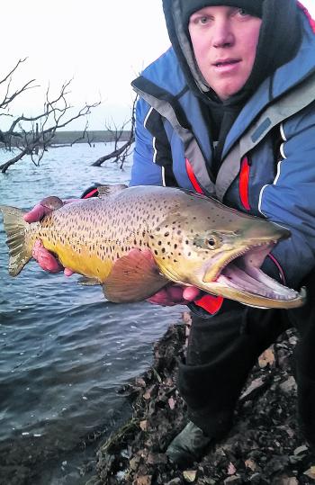 Robbie Rawlings nailed this cracking brown trout taken on a Rapala hardbodied Lure from Tullaroop Reservoir.