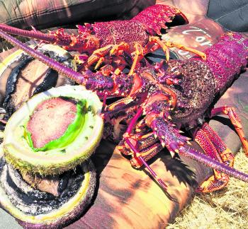 Summer spearing on the reef provides some lovely delicacies including crays, black and greenlip abalone.