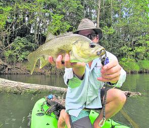 Fly fishing from a kayak is very productive, especially on river bass. This Northern NSW beast took Tom’s Bass Vampire fished under the snag behind him.