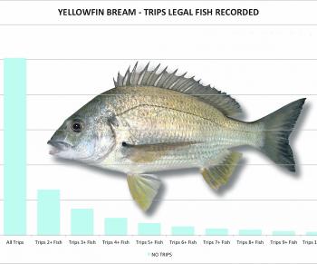 Overall yellowfin bream caught per trip 2000-2015 Statewide (Suntag data).