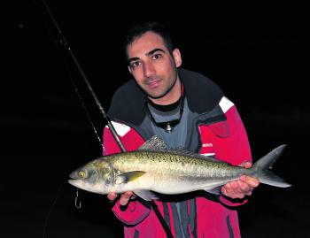 Fishing at night during winter may seem a bit masochistic, but in reality it’s generally much warmer at the beach than many of us would think. Temperatures are kept stable by the relatively warm ocean.