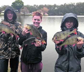 Ryan Carol, Will Lawrence and Nathan Ward with a magnificent haul of 40cm plus redfin from Lake Daylesford. 