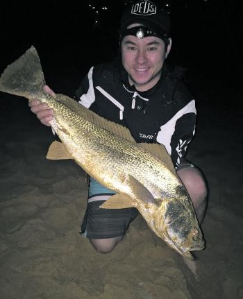 What a buzz when you see a nice mulloway being slid up the beach! Jonathan Walsh is over the moon with his fish caught on live yellowtail.
