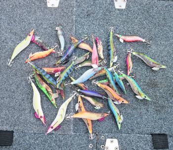 You can’t have enough squid jigs. Check out the different sizes, weights and colours I have in my boat.
