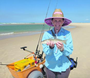 Whiting are less commonly caught on plastics but will eat smaller paddle and curl tails.