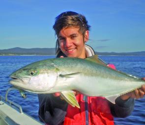 Yellowtail kingfish are the hot topic at the moment, and no wonder with quality fish like this.
