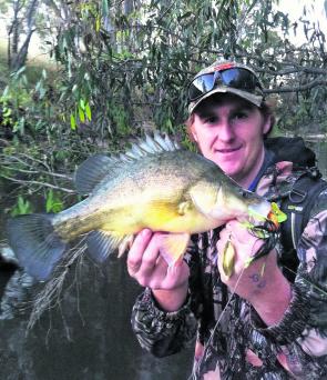 Andrew Dalton with a yellowbelly. They will be the focus from when the trout season closes.