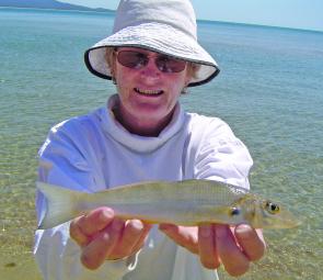 Whiting were among the catches from the beach area in front of our campsite. Too easy!