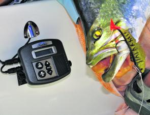 The hydrowave from Hydrowave Australia is one piece of tech that will give you an unparalleled edge on Peter Faust. It has the ability to bring fish to you instead of you finding fish.