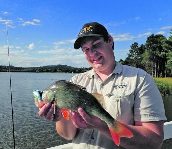 Redfin have been active in local lakes. Anglers using small to medium-sized lures have been wiped out by golden perch and Murray cod that are eyeing off the schools of redfin.
