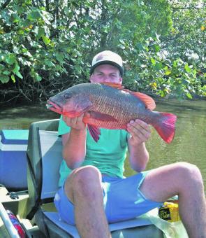 Ben Leggett smashed this Mangrove jack fishing out of his Hobie Pro Angler Kayak.