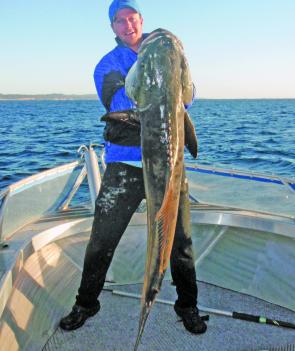 Luke Cameron caught this whopping 30.8kg cobia off Moreton recently – these big predators will be the fish to target in October. 