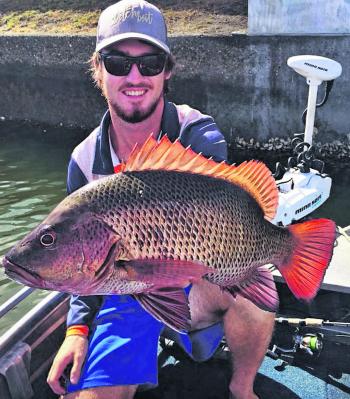 Tommy with a healthy mangrove jack that could not resist the new Boom Bait from Samaki.