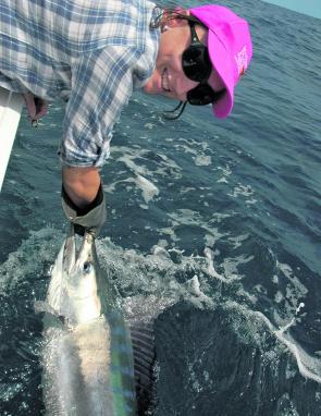 The small black marlin will be on the move off the Gold Coast in December and anglers look forward to their acrobatic antics.