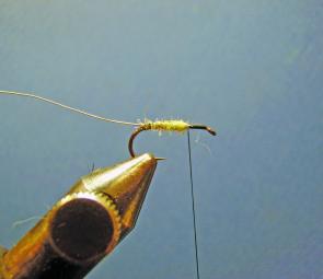 Place the hook in the vice and wind to the bend of the hook. Tie in the fine gold wire then apply dubbing and dub a fine cigar shaped body as shown.