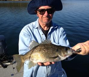 Jim Gibson comes up from Sydney to fish Glenbawn every Spring. Had a good trip with plenty of nice fish on Berkley Bass Minnows.