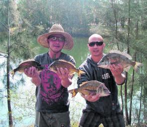 Bic Fox and his mate with four stud bream from the upper Georges River.