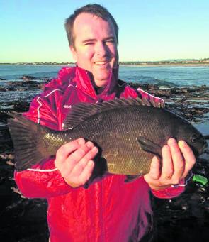 Paul Osborne's son caught this nice 46cm pig from the rocks. They put up a great fight.
