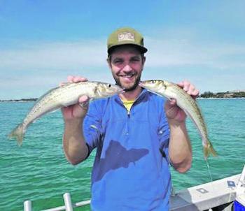 Dan Lee with some solid whiting.