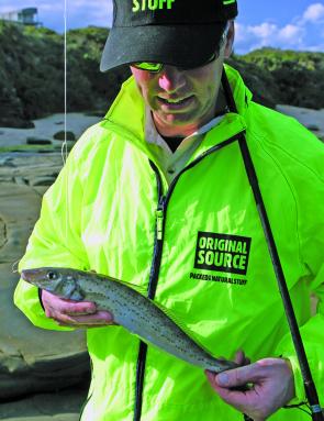 King George whiting have invaded the inshore reefs along the Great Ocean Road with Marengo being a hot spot.