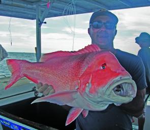 Monster reds can often be caught in shallow water in June. This 15kg red was caught on board Aqua Cat Charters in 20m of water.