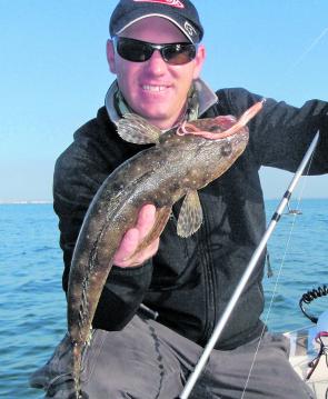 Flathead will be on the move the month and plenty have been taken as by-catch by snapper fishers using both sot plastics and bait. 