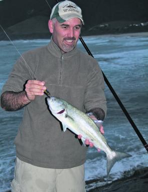 Quality tailor are around through the Winter and their heads make great bait for big mulloway off the beach.