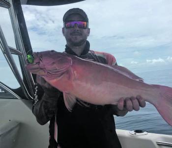 Deep water jigging with 150mm+ plastics is getting more popular and with results like this stonker trout caught by Nathan Petricevic off Mackay its no wonder.