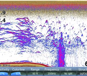 A shot of the sounder shows bass holding deep in water adjacent to timber. Water temperature is at a very cold 12.4°C.