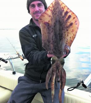 A sensational Tyabb Bank calamari. A baited jig is deadly in this area.