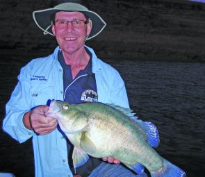 Golden Perch can reach a huge size in Hume – some of the biggest around are caught here every season.