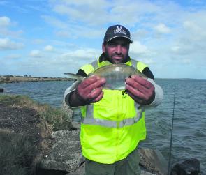 Better silver trevally are being caught by persistent anglers.