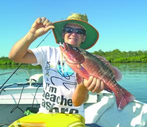 This mangrove jack was taken in Passage, jacks have been biting all over the estuaries recently.