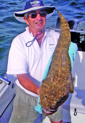 Peter Denaro caught this 90cm+ flathead recently.