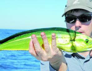 Mike D'Antonio caught this mahi mahi around the Broken Bay FAD. There’ll be plenty more this month.