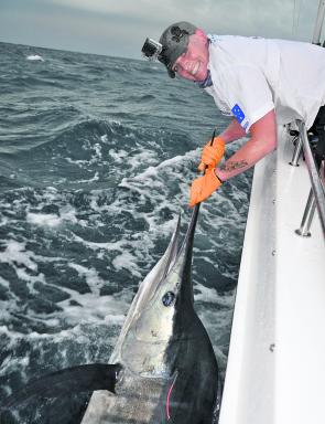 Lynette ‘Scooter Girl’ Robb from the Solitary Islands GFC, with a striped marlin tagged right at the death on day 3 of the Hot Currents.