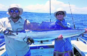 Healthy numbers of mahi mahi have been filling in time between blue marlin bites, and it always helps to have fillets on hand to buy brownie points with.