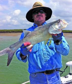 The threadfin salmon are about in serious numbers throughout the Yeppoon area.
