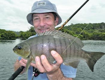 Luderick provide good fun while cool-weather angling.