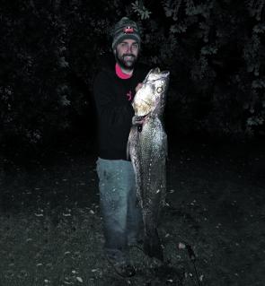 Author with a quality mulloway caught in the Macleay River.