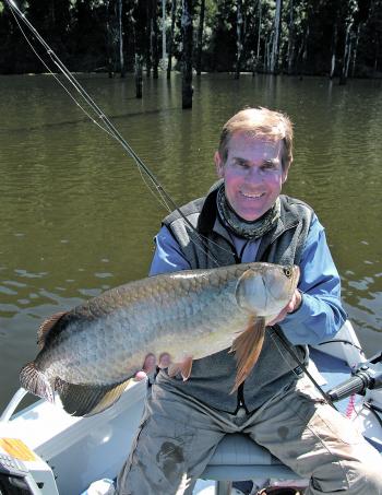 Southern saratoga are one of the great drawcards for Borumba anglers. This fish came to the author on fly gear. 