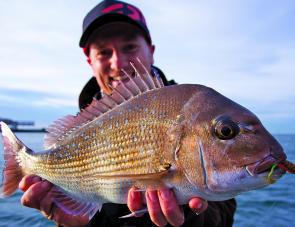 Darren Weda from indepthangler.com.au managed a dozen pinkie snapper to 48cm in relatively quick succession casting soft plastics at the mouth of the Yarra River. 